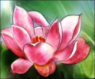 Painter教程:手繪荷花水彩畫(huà)_腳本之家jb51.net網(wǎng)絡(luò)轉(zhuǎn)載