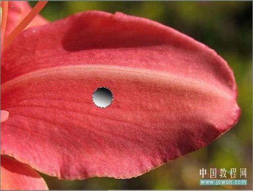 Photoshop輕松繪制樹葉上的露珠_腳本之家jb51.net整理