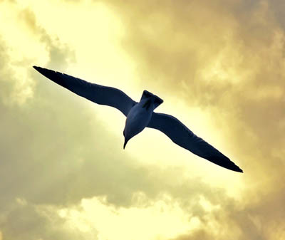 Photoshop照片合成:天空、大海和女孩