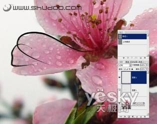 PS鋼筆工具繪制漫畫(huà)和具有中國(guó)特色的白描作品