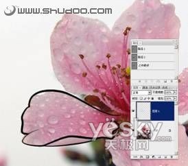 PS鋼筆工具繪制漫畫(huà)和具有中國(guó)特色的白描作品