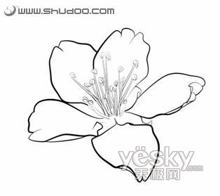 PS鋼筆工具繪制漫畫(huà)和具有中國(guó)特色的白描作品