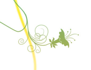 Photoshop 漂亮的藝術(shù)曲線插畫