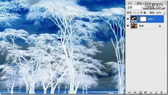 photoshop 利用反相操作快速抠出复杂的树木