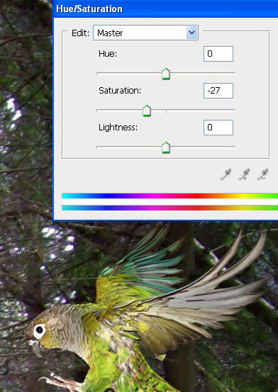 photoshop 合成漂亮的森林女皇