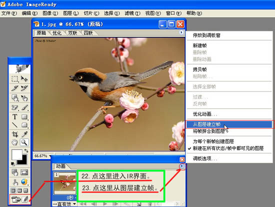 Photoshop 小鳥張嘴鳴叫動畫