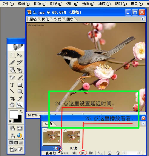 Photoshop 小鳥張嘴鳴叫動畫