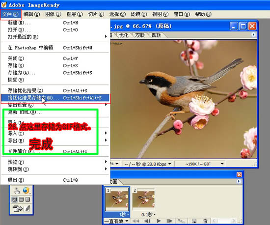 Photoshop 小鳥張嘴鳴叫動畫