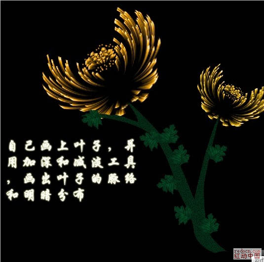 photoshop利用濾鏡制作漂亮的火焰菊花