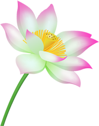 Photosho打造祥和喜慶的中秋節(jié)賀卡