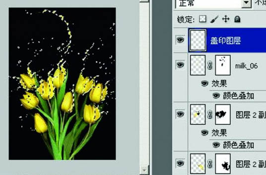 photoshop合成動感的噴濺郁金香教程