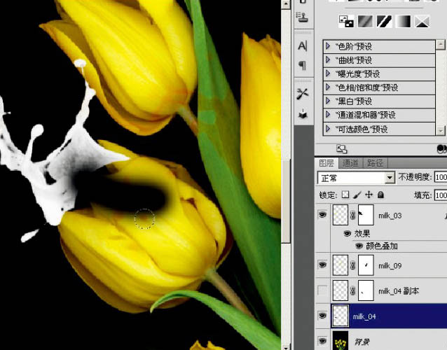 photoshop合成動感的噴濺郁金香教程