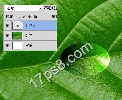 photoshop設(shè)計(jì)制作出逼真晶瑩剔透的雨滴水珠效果