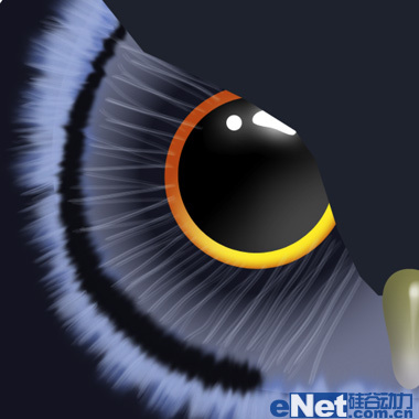 photoshop制作卡通貓頭鷹 photoshop設計制作可愛的藍色卡通貓頭鷹