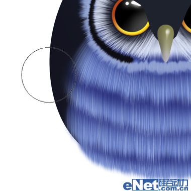 photoshop制作卡通貓頭鷹 photoshop設計制作可愛的藍色卡通貓頭鷹