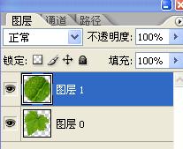 Photoshop設計制作出花瓣上滾動的水珠效果教程
