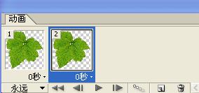 Photoshop設計制作出花瓣上滾動的水珠效果教程