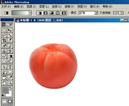 PHOTOSHOP鼠繪出逼真蕃茄教程