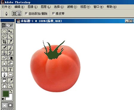 PHOTOSHOP鼠繪出逼真蕃茄教程