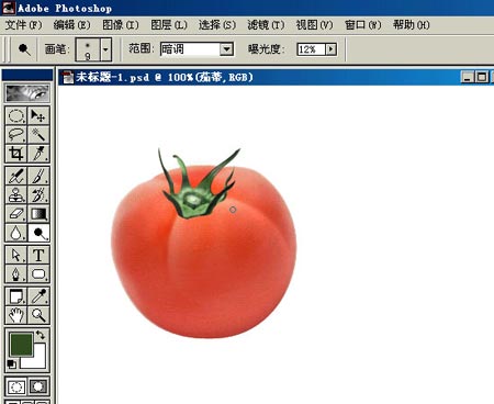 PHOTOSHOP鼠繪出逼真蕃茄教程
