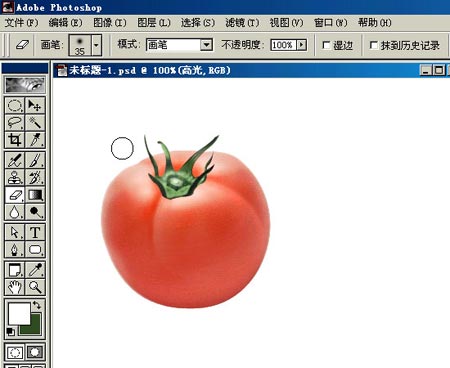 PHOTOSHOP鼠繪出逼真蕃茄教程
