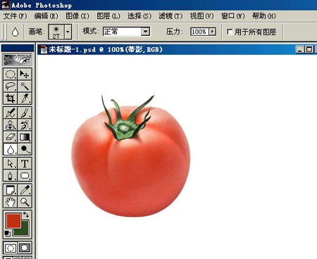 PHOTOSHOP鼠繪出逼真蕃茄教程