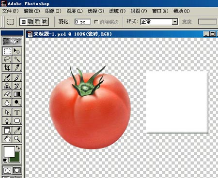 PHOTOSHOP鼠繪出逼真蕃茄教程