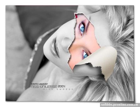 photoshop為美女圖片打造出銀色的紙面撕破效果