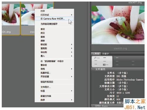 PS使用自動混合命令做景深拼接制造出清晰效果