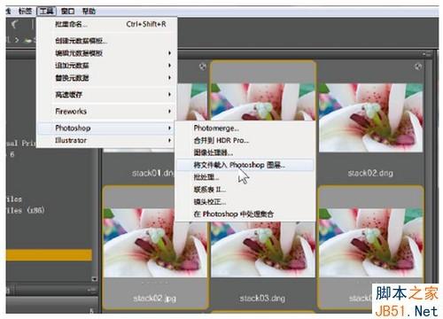 PS使用自動混合命令做景深拼接制造出清晰效果