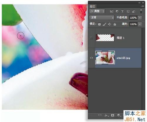 PS使用自動混合命令做景深拼接制造出清晰效果