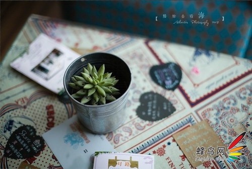 ps為數(shù)碼照片做后期處理打造出膠片質(zhì)感效果