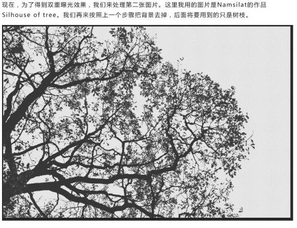 Photoshop快速將人物與樹木合成制作出雙重曝光效果
