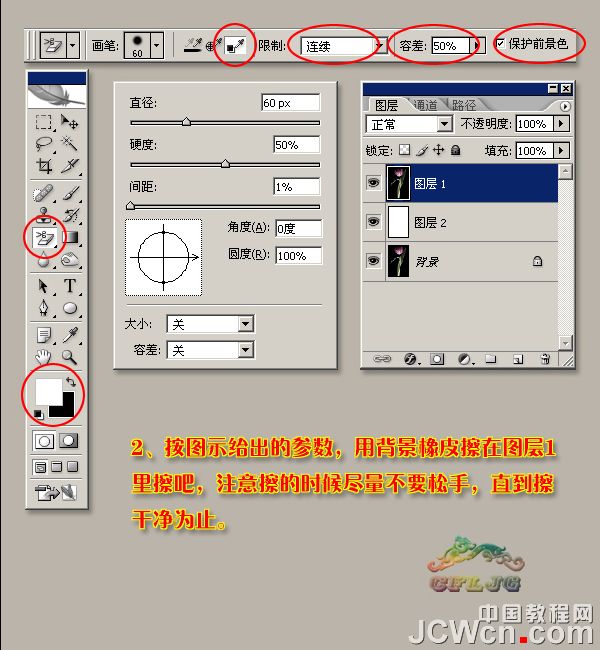 Photoshop利用背景橡皮擦工具摳郁金香