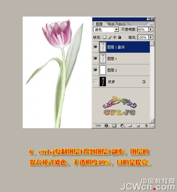 Photoshop利用背景橡皮擦工具摳郁金香