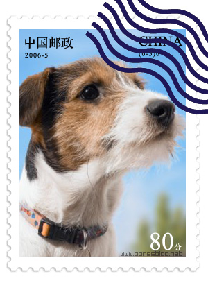 PS和AI打造逼真郵票效果