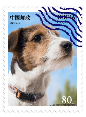 PS和AI打造逼真郵票效果