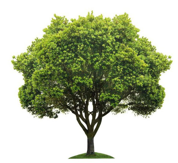 Photoshop合成制作超霸氣的恐龍啤酒海報
