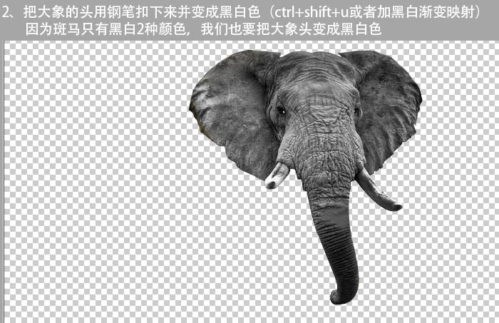 PS將斑馬頭像換成創(chuàng)意的長鼻子大象頭像