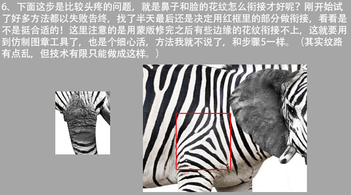 PS將斑馬頭像換成創(chuàng)意的長鼻子大象頭像