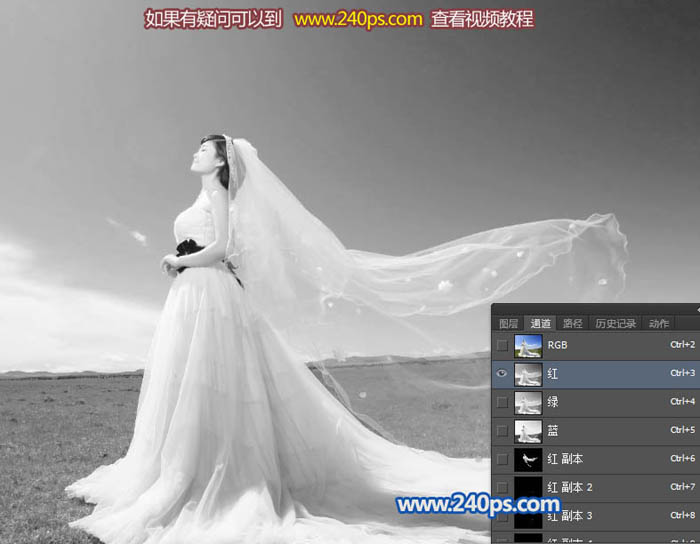 Photoshop保細(xì)節(jié)摳出雜亂的婚紗換背景