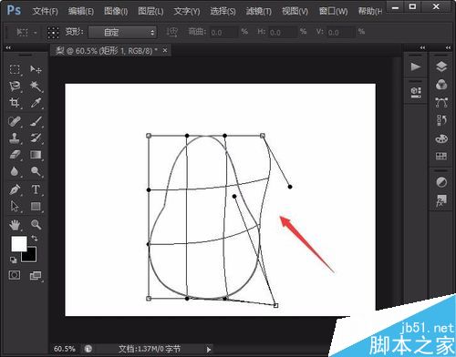 用photoshop繪制簡筆畫梨