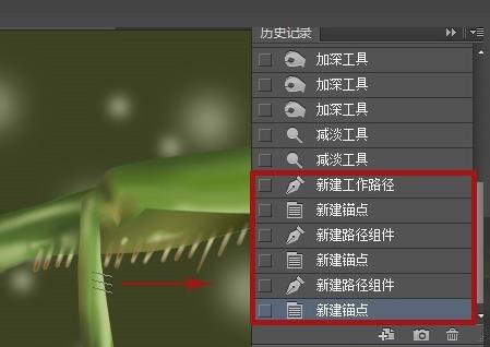 PS怎么使用路徑功能給昆蟲足上畫尖刺?
