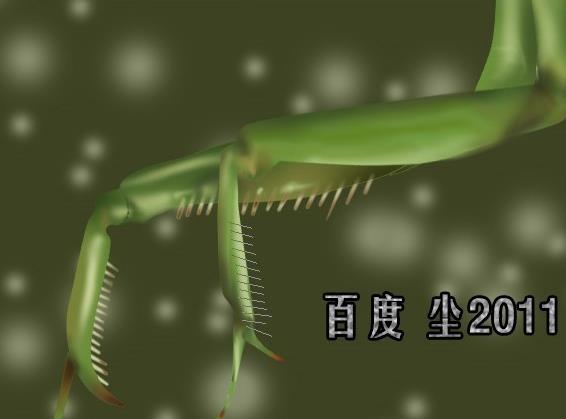 PS怎么使用路徑功能給昆蟲足上畫尖刺?
