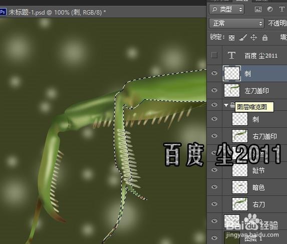 PS怎么使用路徑功能給昆蟲足上畫尖刺?