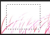 Photoshop選框工具的使用方法