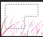 Photoshop選框工具的使用方法