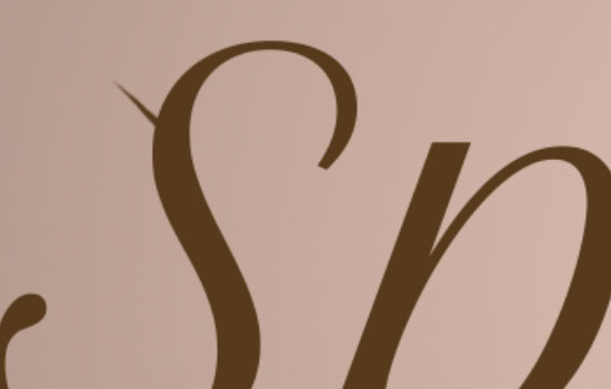 Photoshop制作桃花裝飾的春季spring藝術(shù)字教程