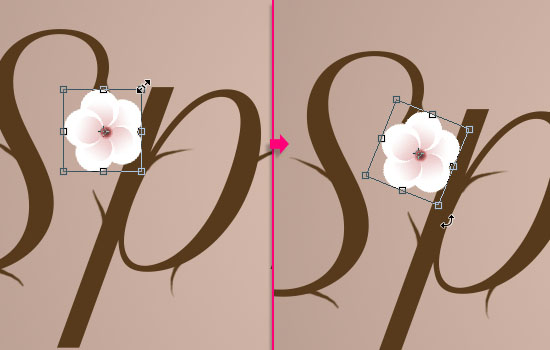 Photoshop制作桃花裝飾的春季spring藝術(shù)字教程