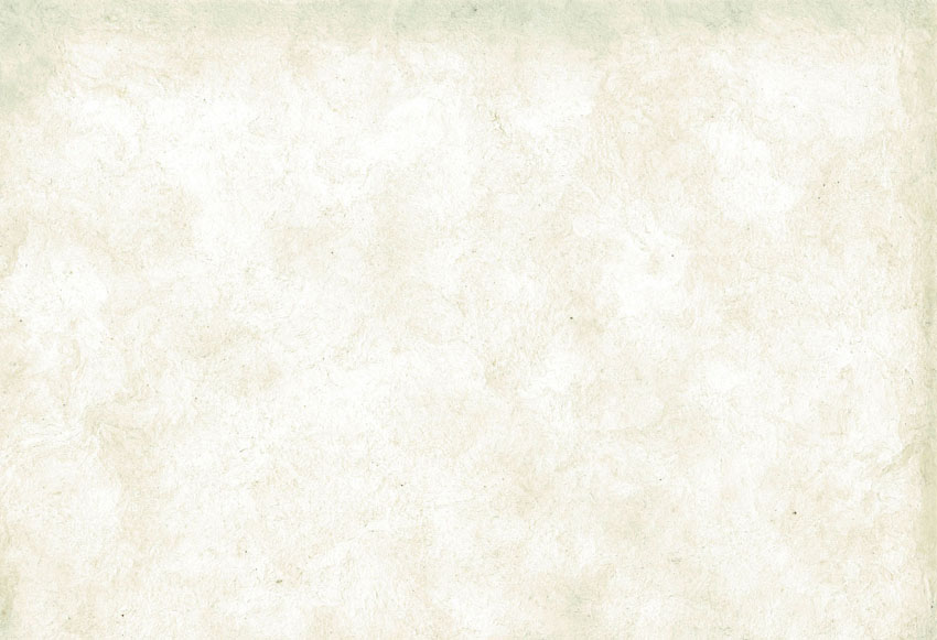 Photoshop制作桃花裝飾的春季spring藝術(shù)字教程